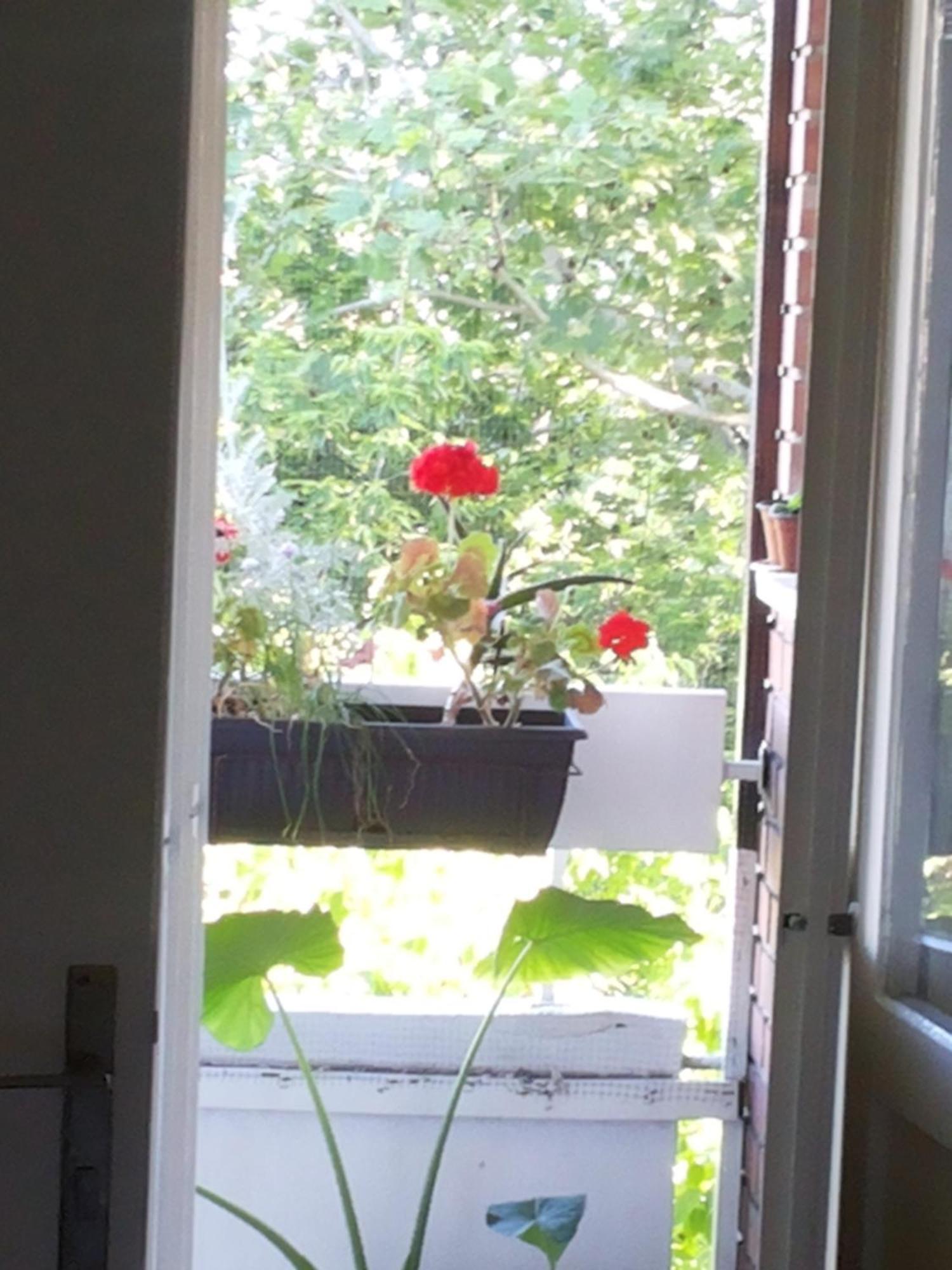 B&B Girasole Novi Sad Bilik gambar